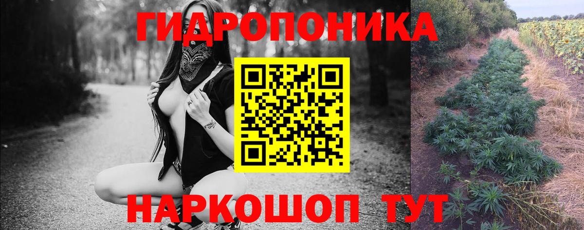 Кинешма  Шишки марихуана планчик  Вход с VPN  МАРИХУАНА AK-47  Бошки Шишки сатива 